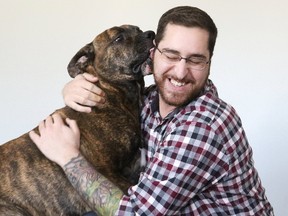 Nathan Kitlar gets a kiss from Mickey, a dog he is fostering for Pet Save, on Monday. The mastiff was stolen in 2016 from the Pet Save shelter in Lively, promptly escaped and roamed for a month, and now is being trained and socialized in the expectation that he will be adopted to a good home. (Gino Donato/Sudbury Star)