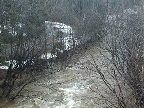 Chippewa Creek (Supplied Photo)