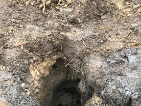 On its Twitter account, police said "Officers dispatched to home O'Neil Dr W/Falconbridge Rd. Homeowner went to look at a sink hole when the ground gave out & he fell in. The ground shifted, causing him to fall further, crushing him inside the hole. Officers arrived, extended a blanket & pulled him to safety