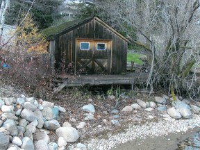 Shown here is an example of a private shed that was erected on what is public land along the shores of Cold Lake.