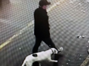 The man and his dog police suspect stole a green, 2003 Hyundai Sonata stolen from the gas bar at the intersection of Bath Road and Collins Bay Road on April 16 in Kingston, Ont. Supplied by Kingston Police