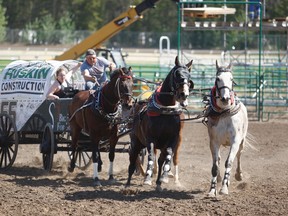 Western Chuckwagon Association president Dean Dreger takes the horses for a spin at Evergreen Park. The Grande Prairie Powwow Committee and the WCA have teamed up for a combined event called Boots & Moccasins. The event will take place on the third weekend of June.