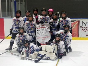 The Owen Sound Ice Hawks atom C were gold medal winners at the 37th Annual Walter Gretzky tournament in Brantford this winter. The Ice Hawks atom C team were also one of four Owen Sound girls hockey teams to move on to provincials. Photo submitted.