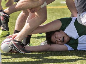 Andy Lee of St. John 's College grimaces as he attempts to hand the ball to a teammate after being tackled  during a high school senior boys rugby match against North Park Collegiate on Thursday  at the Bisons Alumni North Park Sports Complex. (Brian Thompson/The Expositor)