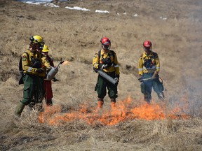 Members of Alberta Wildfire (yellow) and the Whitecourt fire department (red) work together in order to create a safe hazard reduction burn area just outside of Whitecourt. (Taryn Brandell | Whitecourt Star)