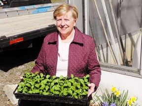 Helen Uren, co-president of the Simcoe & District Horticultural Society, invites vendors and bargain hunters to a combination plant sale-community yard sale at the Norfolk County Fairgrounds in Simcoe May 12. MONTE SONNENBERG / SIMCOE REFORMER