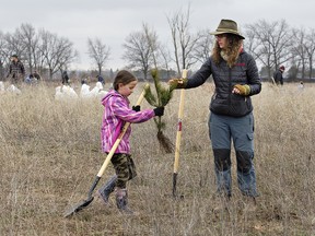 Tara Carpenter and her seven-year-old daughter Holly plants trees on Saturday on a vacant four-acre site on the west end of  Simcoe. Brian Thompson/Postmedia News