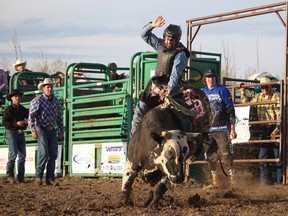 The 25th annual Bullarama Supreme will return to the Conrad Schinkinger Memorial Grounds on Saturday, May 5. A pool of 25 bull riders from Alberta, B.C., Saskatchewan, Brazil and New Zealand will compete for Canadian circuit double points as well as $8,000 in prize money. Gates open at 5 p.m., with bull riding starting at 7 p.m.