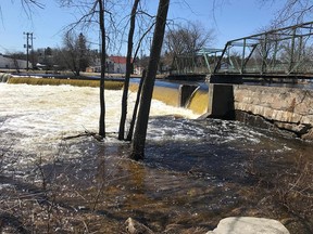 Submitted photo
While the Moira River is running high and fast through Tweed and other areas in the Quinte watershed, major flooding is not a concern on any of Quinte Conservation’s watercourses.