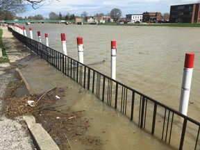 The Sydenham River was experiencing high water levels on Friday afternoon, spilling over its banks and flooding part of the river's northern boardwalk in downtown Wallaceburg.
