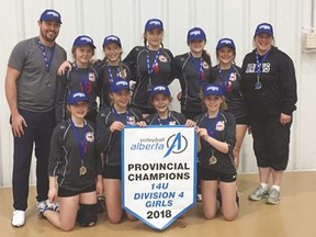 The Vulcan Vipers U14 girls’ team. In the front row, from left, are Adrienne Miller, Megan McCreadie, Dayna Hilz and Davanna Ditto. In the back row, from left, are Clayton Ressler, Sydney Carey, Abigail Akitt, Ava Dugdale, Brooke Healy, Tamara Budd and coach Colleen Carey. Missing from this team photo is Anna Lundgren.