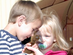 Zavy Dunk and his sister Emmah, of Desbarats, were looking to buy a duckling to keep their chickens company. DAN KERR/SPECIAL TO THE STAR