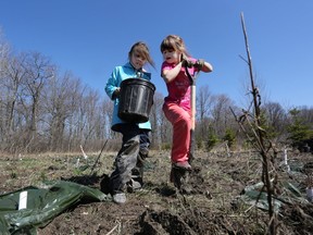 Korie-Lee and KelleeMae Roberts plant trees with several dozen other volunteers at Lemoine Point on Saturday. (Meghan Balogh/The Whig-Standard/Postmedia Network)