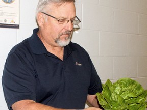 Wayne Chalmers of Spring Hill Farms bags a head of lettuce, Saturday, at the Powassan Food Fest. Although he was told some farming methods wouldn't work in Northern Ontario, Chalmers' operation, using greenhouses and hydroponics, grows lettuce and other greens year-round in Trout Creek.
PJ Wilson/The Nugget