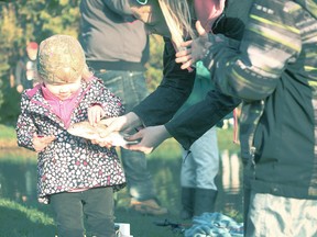 Miley Teed, 2, from Seaforth tested her will and touched a trout caught at the Seaforth Lions Club Fishing Derby. (Shaun Gregory/Huron Expositor)