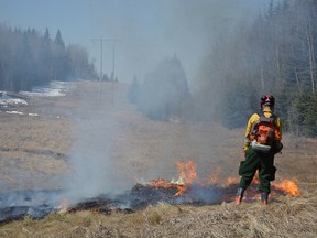 Alberta Wildfire and the Whitecourt Fire Department participate in a hazard reduction burn near Whitecourt on April 27 (Taryn Brandell | Whitecourt Star).
