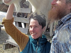 Sherry Milford and Yan Roberts celebrate with Sunshine the goat after the Canadian Food Inspection Agency lifted a four-year quarantine on the animal last week. Milford and Roberts operate Piebird Farm Sanctuary in Nipissing. Submitted Photo