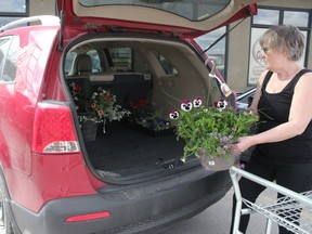 Deb Miskiw loads her first spring batch of flowers into the car at Anything Grows in Cochrane on Sunday, May 6
