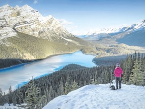 Peyto Lake is considered a bucket-list destination for summer hikers. The federal government said Monday its top priority for Canada’s national parks is protecting ecological integrity. Photo by Lindsay Smith