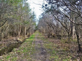 W. Brice McVicar/The INtelligencer
Quinte Conservation is considering banning pets from its trails, such as this one at Potter’s Creek, because visitors are ignoring the leash requirements and failing to clean up after their pets.