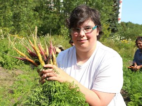 In this file photo, Jake Charron harvests carrots at the Flour Mill community farm, located at Ryan Heights, on Aug. 16, 2017. A group of seven young people worked at the urban farm for seven weeks last summer. A new crew will take responsibility for the farm this summer. (John Lappa/Sudbury Star)