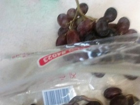 A local Cold Lake man found a snake in a bag of grapes he had bought at a local grocery store.