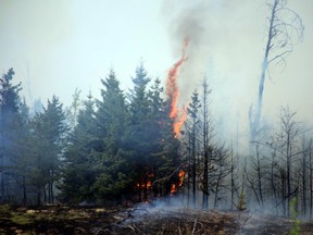 A forest fire in Bruderheim and a wildfire in northern Strathcona County have resulted in reduced air quality in Sherwood Park, where Wednesday's readings came in as "moderate."

Jeff Labine/Postmedia Network