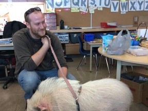 Andrew Somers, 28, from Walton is fighting for his two pot-bellied pigs to remain at his house. The Municipality of Morris Turnberry deems them as prohibited animals because they are located in an urban setting.