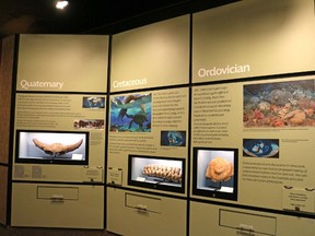 The Canadian Fossil Discovery Centre's new exhibit, introduced on Manitoba Day (May 12), focuses on paleontology in Manitoba. (LAUREN MACGILL, Morden Times)