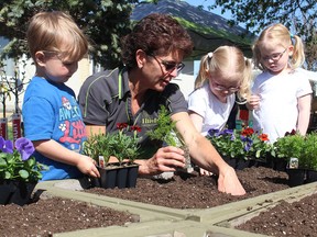 The third annual Dig N’ Dirt event was held on May 12 at Thiel’s Greenhouse where the community rolled up their sleeves to plant a variety of vegetables including tomatoes, carrots, cucumbers and squash.