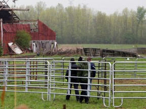 An Ontario Provincial Police officer and others walk on a horse farm where the owner says nine horses were removed under police supervision Saturday east of Blessington in Tyendinaga Township. Police said the relocation effort would continue in a few days but the horses may be returned in the future.