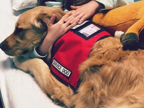 Eight-year-old Gillian Litchfield and her service dog, Grady. Gillian was rushed to the Lennox and Addington County General Hospital after hundreds of tiny, "seed" ticks were discovered on her arm.