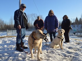 Dan Skwarok, left, and dog Mira are joined by fellow York K9 Club members Derry McTaggart, with dog Bess, and Chris and Susan Haddow, with Ellie-May, at the site of the new dog park at Riverdale Playground earlier this year. The city is now considering relocating the facility. (Jim Moodie/Sudbury Star file photo)