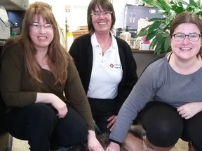 Carolyn Daniel (back, middle), of Red Bay, dropped by the Wiarton Echo offices on April 10 with Sadie the St. John Ambulance therapy dog, where Anastasia Graham (left), Wiarton Echo office administrator and Kelsey Dickinson, former Echo media sales consultant, enjoyed petting the professional pooch. Photo by Zoe Kessler/Wiarton Echo
