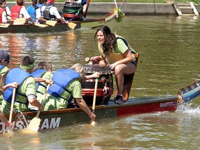 Allie Verbeem urges her CBD/No Frills team on during the Sydenham Challenge Dragon Boat Festival held on the Sydenham River in 2015. The event returns to Wallaceburg on June 2. David Gough/Postmedia Network