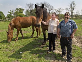 Alice and Terry Stratford spend time with two of their horses, a percheron named Betty (left) and Marcy, a Belgian, at their family farm on Jenkins Road, near Scotland. (Brian Thompson/The Expositor)