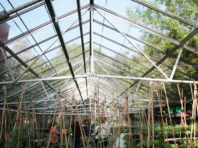 The greenhouse at the current JDSS is a place where students "grow their own food, see where it comes from and the work that goes into it," according to teacher Dawn MacKay. (Steve Cornwell/Postmedia Network)