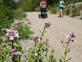 Pushing her eight-month-old daughter, Willow, in a stroller, Alison Grant, left, and Terri Biloski work out on the approach to the new St. Thomas Elevated Park. (Eric Bunnell/TImes-Journal)