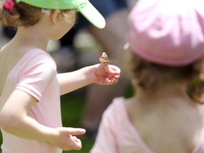 Families released butterflies in memory of lost loved ones at the annual butterfly release event hosted by Hospice Kingston and Bereaved Families of Ontario on Saturday at Hospice Gardens in City Park. (Meghan Balogh/The Whig-Standard/Postmedia Network)