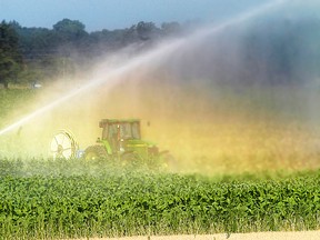 A farmer irrigates a crop in the heat of summer. (Christopher Smith/Expositor file photo)