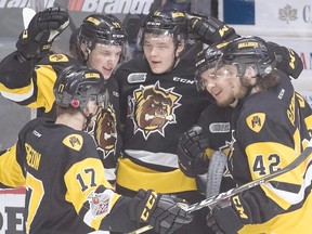 Members of Hamilton Bulldogs celebrate one of their Memorial Cup tournament victories.