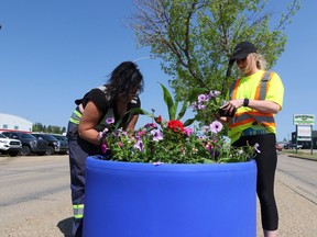City workers work on the new flower planters decorating the Automile May 25. The City bought 63 new self-watering flower planters to decorate Wetaskiwin’s main thoroughfares. (Sarah O. Swenson/Wetaskiwin Times)