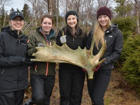Brianna Dumas, left, Samantha Gauthier, Lauren McLaren and Katie Britton collect data for McLaren's honours thesis at Gros Morne National Park, Newfoundland.
Supplied Photo