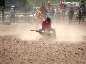 GORDON ANDERSON/DAILY HERALD-TRIBUNE 
Kyle Lucas of Carstairs gets his calf to the ground during the Slack Rodeo portion of the Grande Prairie Stompede on Wednesday afternoon. Lucas finished top spot after Day 1 in Tie-Down Roping with a 9.1 score.
