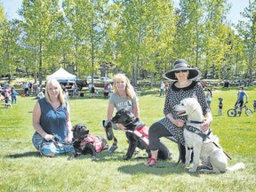 From left, Barb Scott with her daughter Jacoba’s autism assistance dog Gus, Wendy Everett with her guide dog Hedwig and Sandy Lecour with her canine vision dog Lego at the Walk for Dog Guides at Riverside Park in Canmore on Sunday, May 27, 2018. Photo by Pam Doyle/www.pamdoylephoto.com