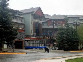 A bear wanders toward The Lodges at Canmore on May 31, 2018. Photo courtesy of the Bow Valley Connection Facebook page.