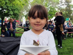 Three-year-old Charlotte Kipp of Paris keeps an eye on a painted lady butterfly on Saturday at Springtime in Paris in Lions Park. One hundred children were given butterflies to release at the event's official opening. Michelle Ruby/The Expositor