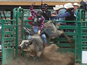 Randy Vanderveen/Special to the Herald-Tribune 
Luke Gee of Stanford MT rode Papa's Rock Star to a 84.5 to place him in a tie with Wacey Finkbeiner during Thursday's go round at the Stompede