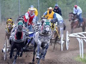 Dayton Sutherland races in a World Professional Chuckwagon Association heat on night one of the 41st annual Grande Prairie Stompede on Wednesday May 30, 2018 at Evergreen Park, south of Grande Prairie, Alta. 
Logan Clow/Grande Prairie Daily Herald-Tribune/Postmedia Network