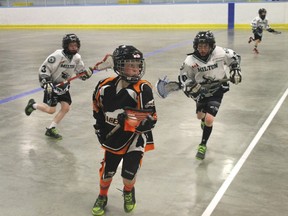 A Sarnia Pacer player runs past two Milton Novice 2 Mavericks players during a game at the Herb Lea Memorial Lacrosse Tournament on May 26. The Pacers fell to the Mavericks 3-1.
CARL HNATYSHYN/SARNIA THIS WEEK